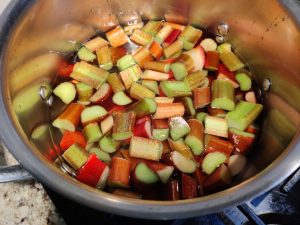 Cut rhubarb in a pot of water