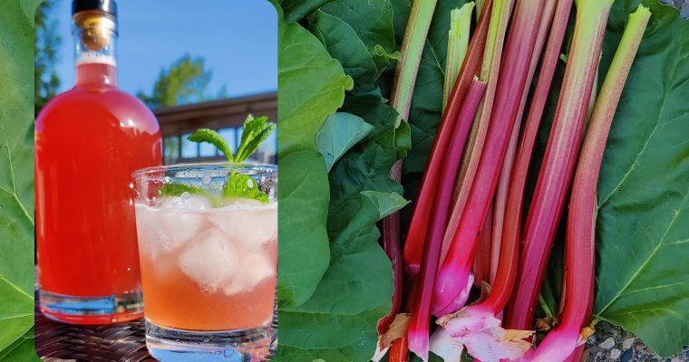 Rhubarb Syrup