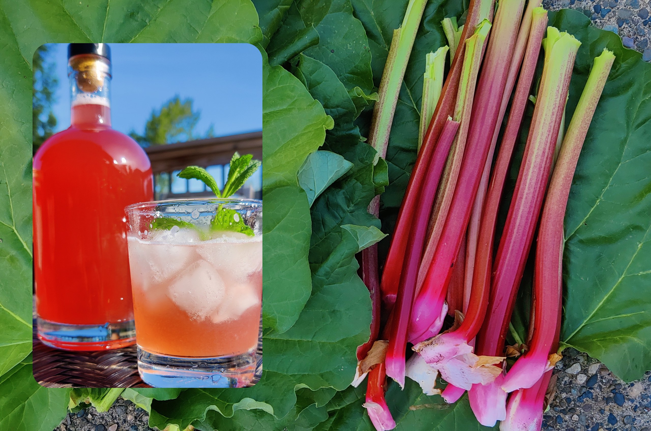 Rhubarb Syrup