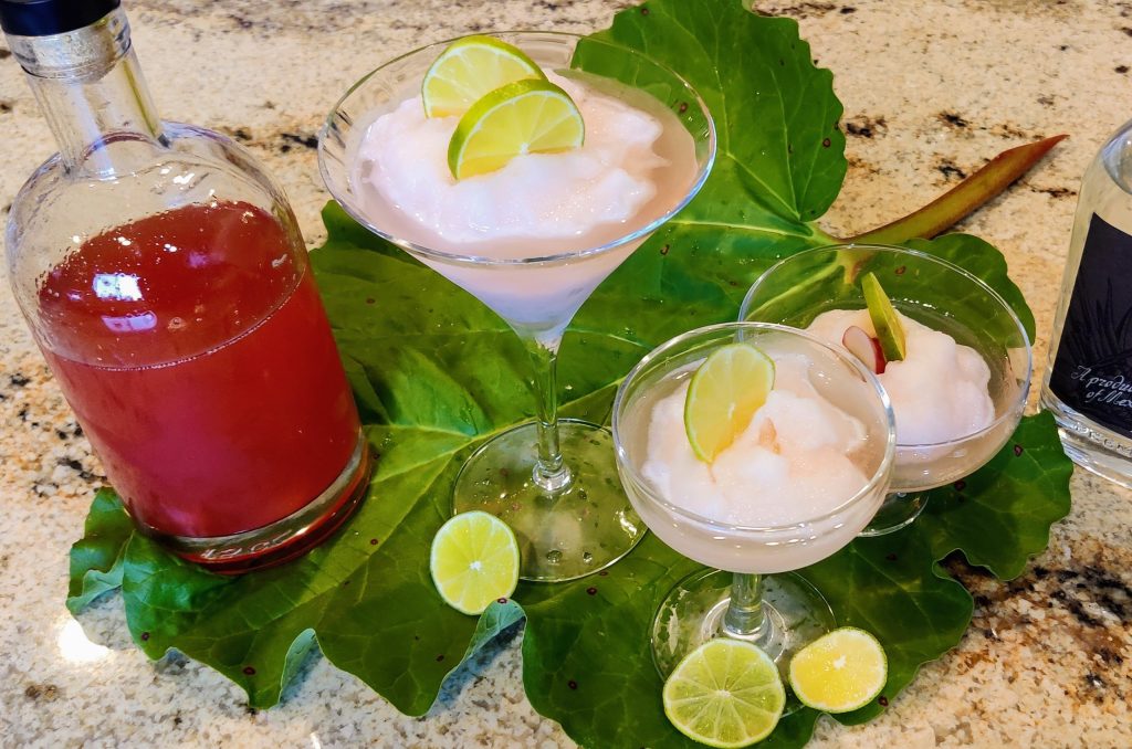 Frozen blended rhubarb margaritas.