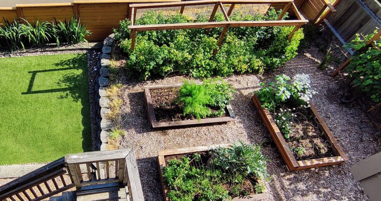 Top 10 Natural and Eco-Friendly Ways to Critter-Proof Your Garden