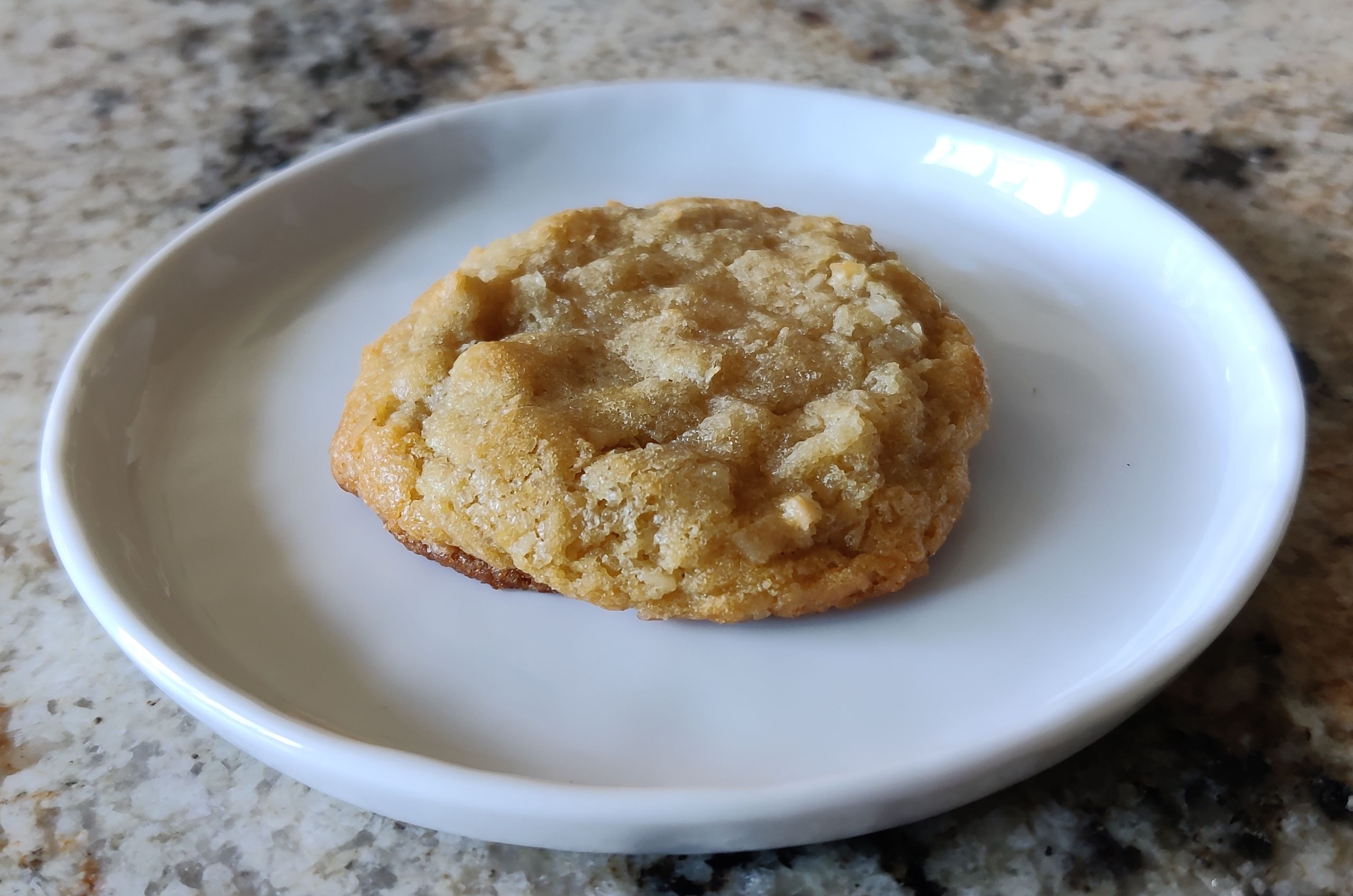 Crispy and Chewy Coconut Cookies