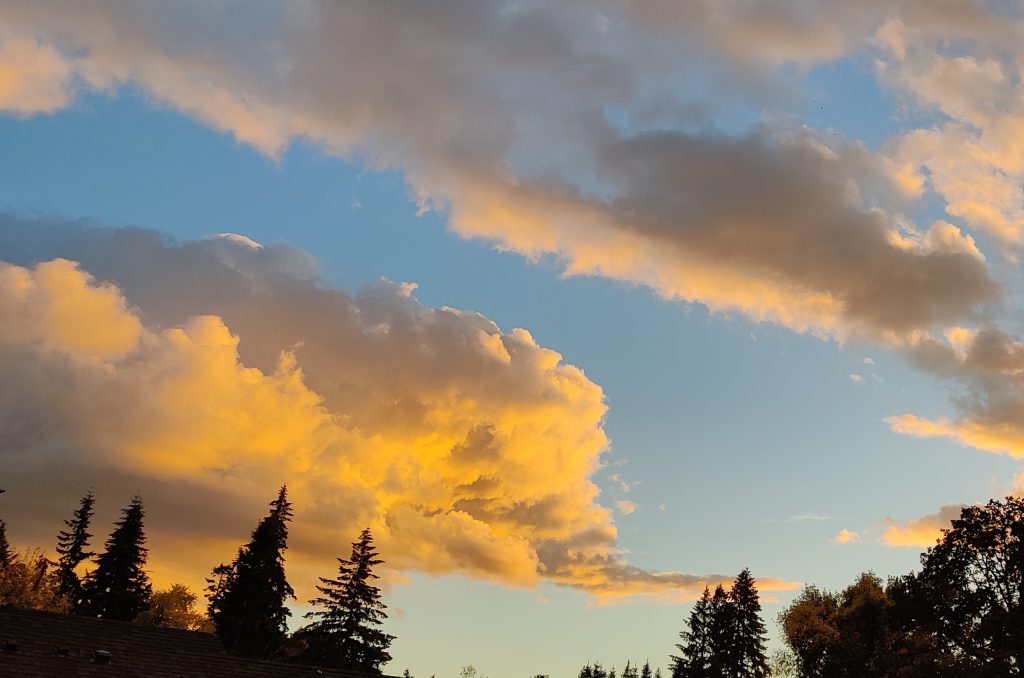 cloudy sky lit up by the sun with fall trees on the horizon