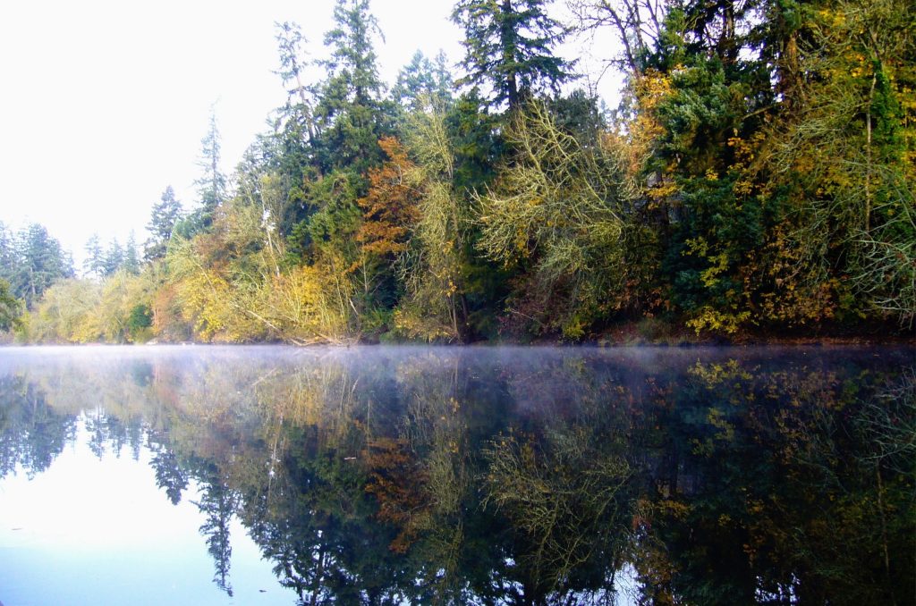 Fog on the river in fall