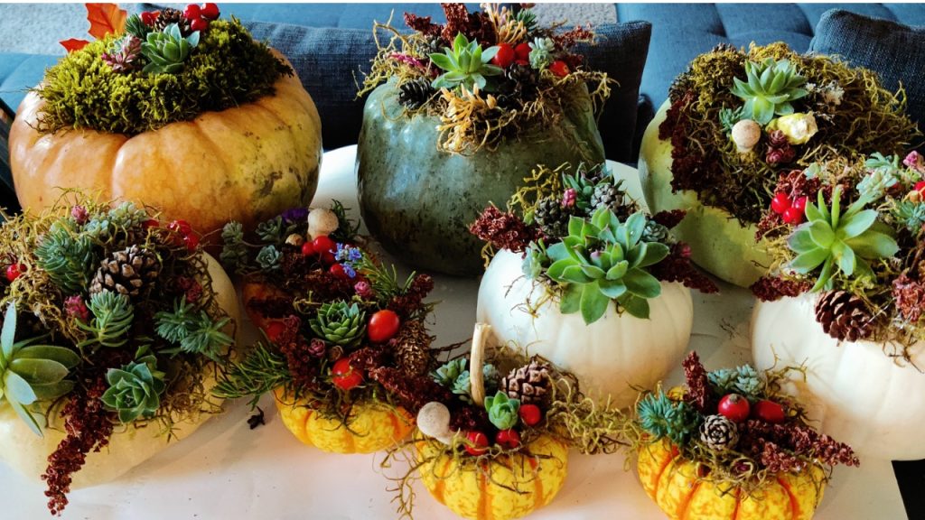 Pumpkin centerpiece decoration using moss, succulents and fall foliage.