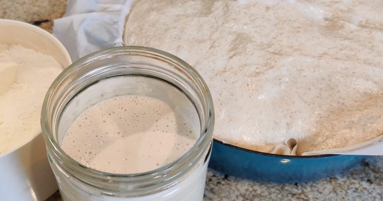 Sourdough Starter for Beginners: A No-Fuss 7-Day Guide