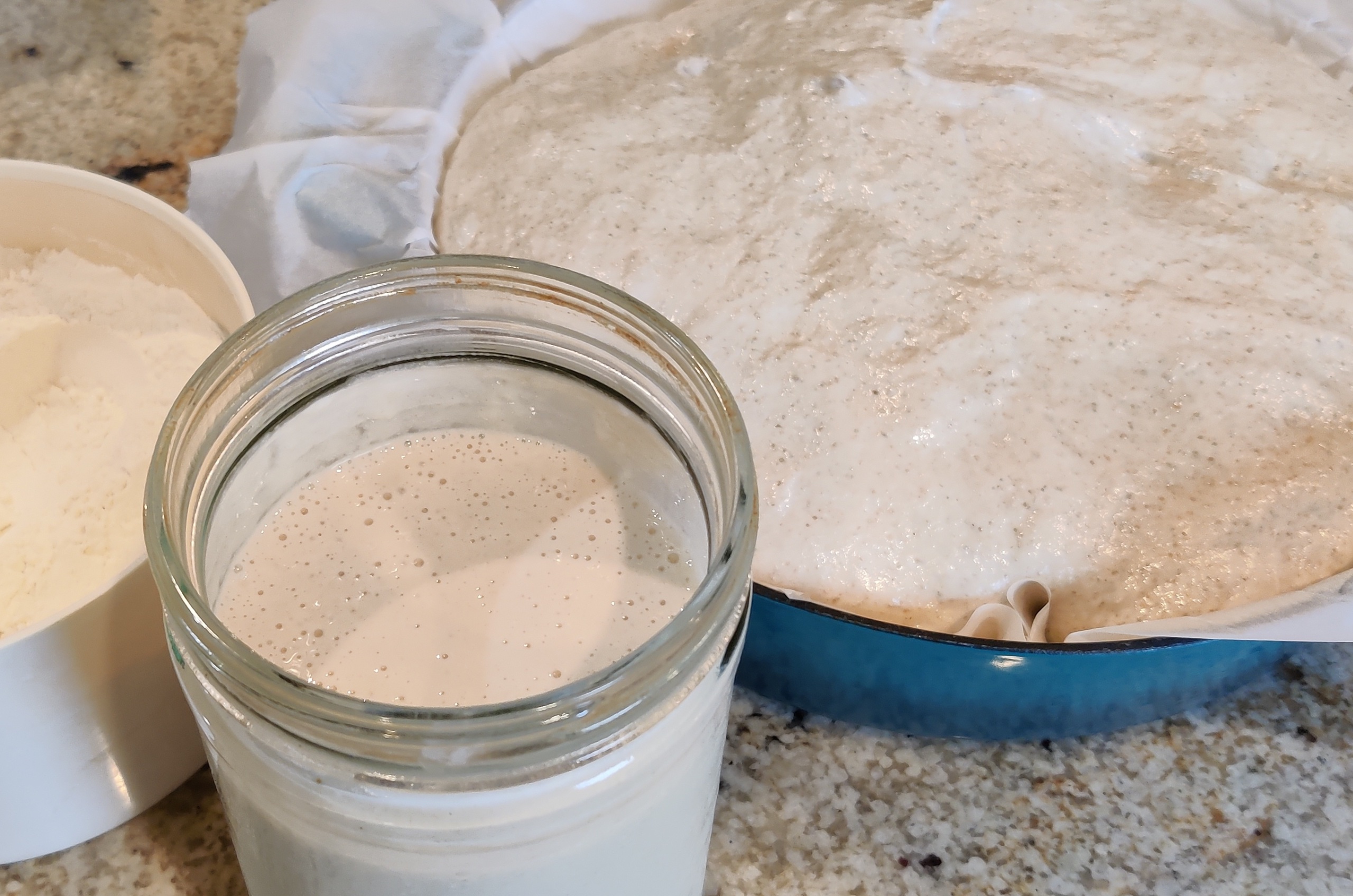 Sourdough Starter for Beginners: A No-Fuss 7-Day Guide