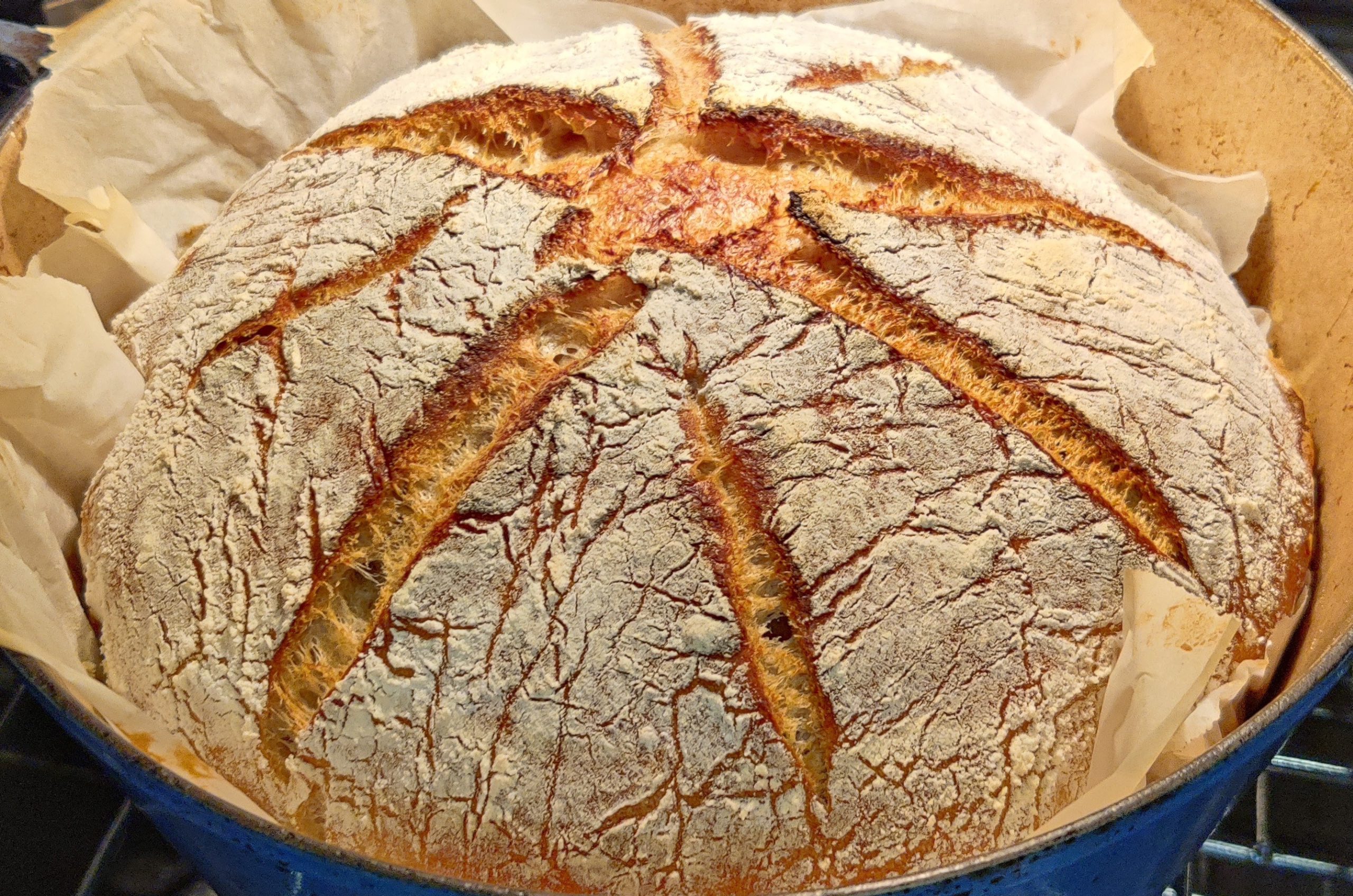 No Rush, No Knead Sourdough Bread