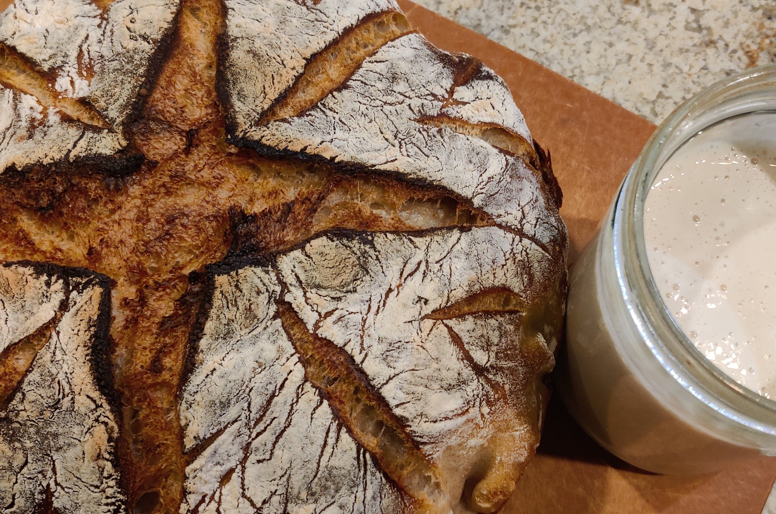 Quick No Knead Sourdough Bread: Ready in Under 8 hours!