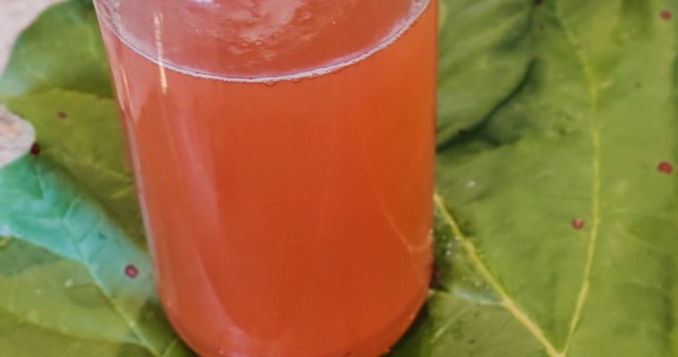 Rhubarb Vinegar: Turning Scraps into Something Spectacular