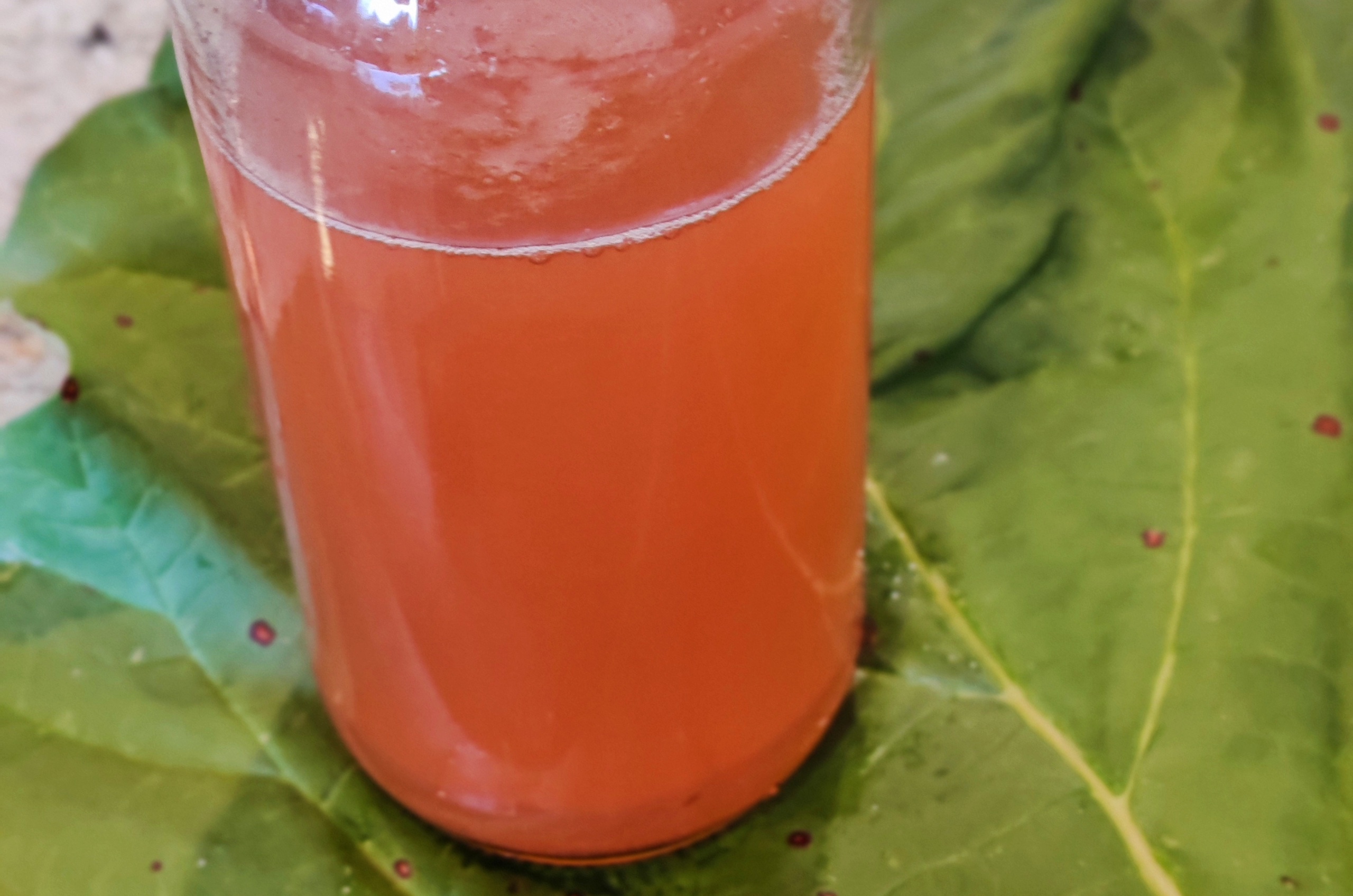 Rhubarb Vinegar: Turning Scraps into Something Spectacular