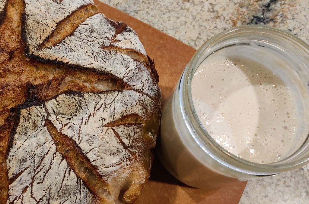 Beautiful homemade sourdough bread on the counter next to a jar of bubbly sourdough starter