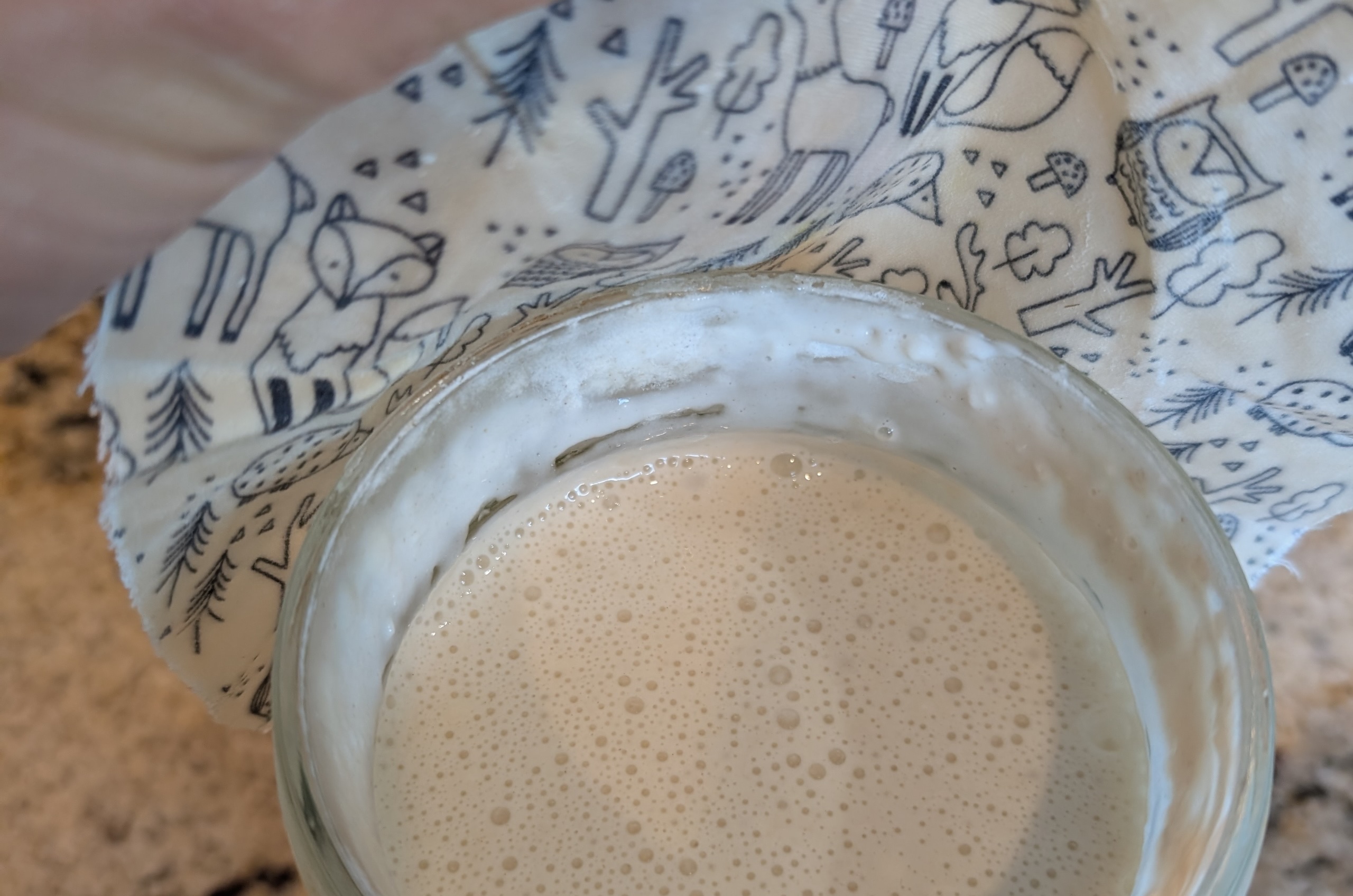 Sourdough starter, bubbling in a glass jar