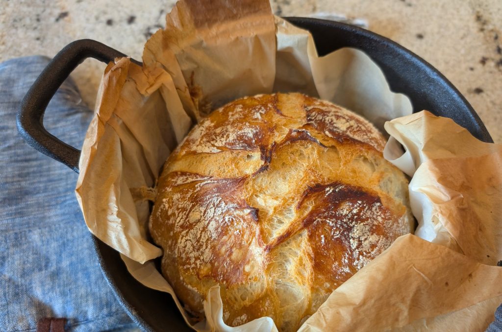 Homemade sourdough bread freshly baked in a cast iron dutch oven, cooling on the counter.